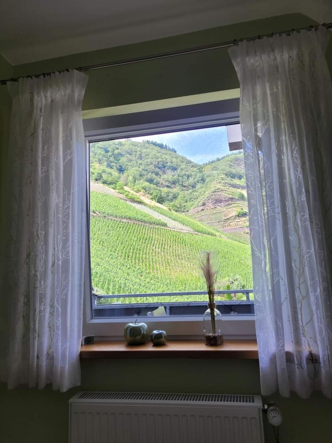 Ferienwohnung Haus Am Calmont Bremm Exteriér fotografie